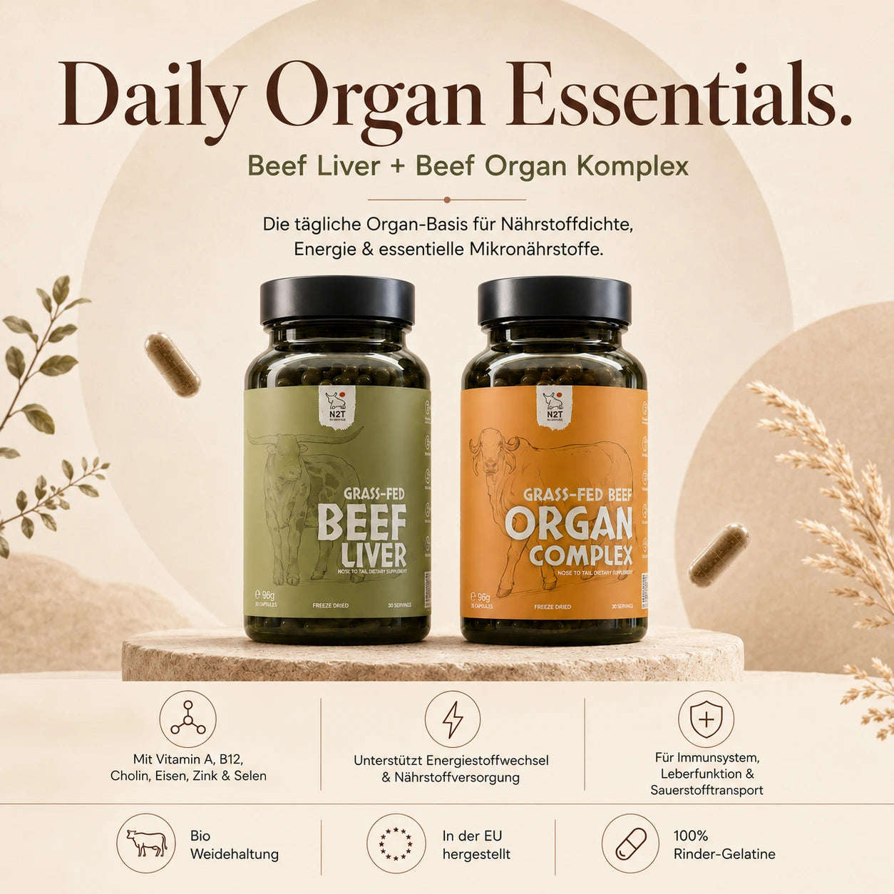 DAILY ORGAN ESSENTIALS