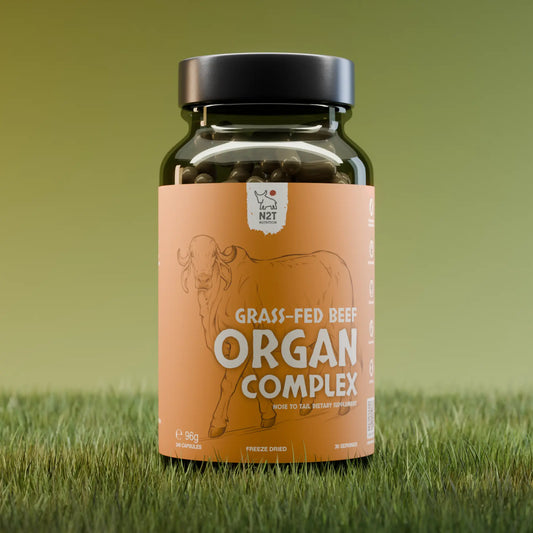 RINDER-INNEREIN AUS WEIDEHALTUNG