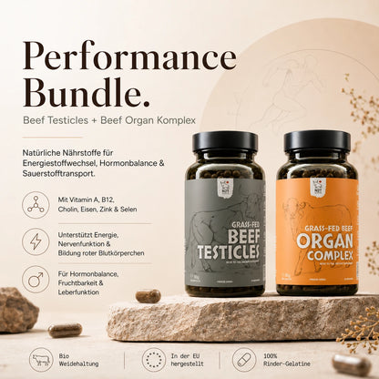 Performance Bundle
